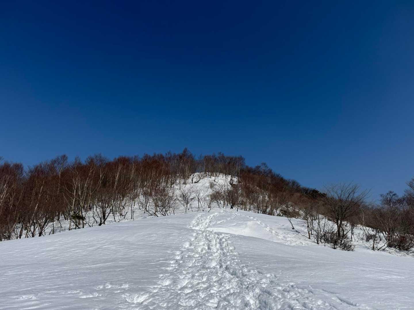 地蔵岳取付-高天原-地蔵岳登山口-八丁峠-長七郎山-赤城山 周回コースの写真