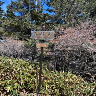 山頂看板