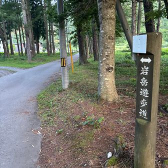 この岩岳遊歩道を行きます。