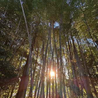 無事下山🥾✨下りて来てもマイナス1℃🥶
やっぱり早起きは三文の徳だねっ🤭🌅🍁
今日も素敵な一日を👍.･*’’*･.♬✨