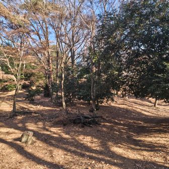 八幡古墳群の中を歩く