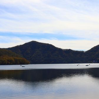 湖面がきれいです。