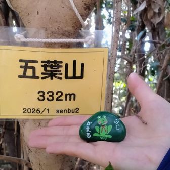 今回も一緒に、ぶじかえる君。