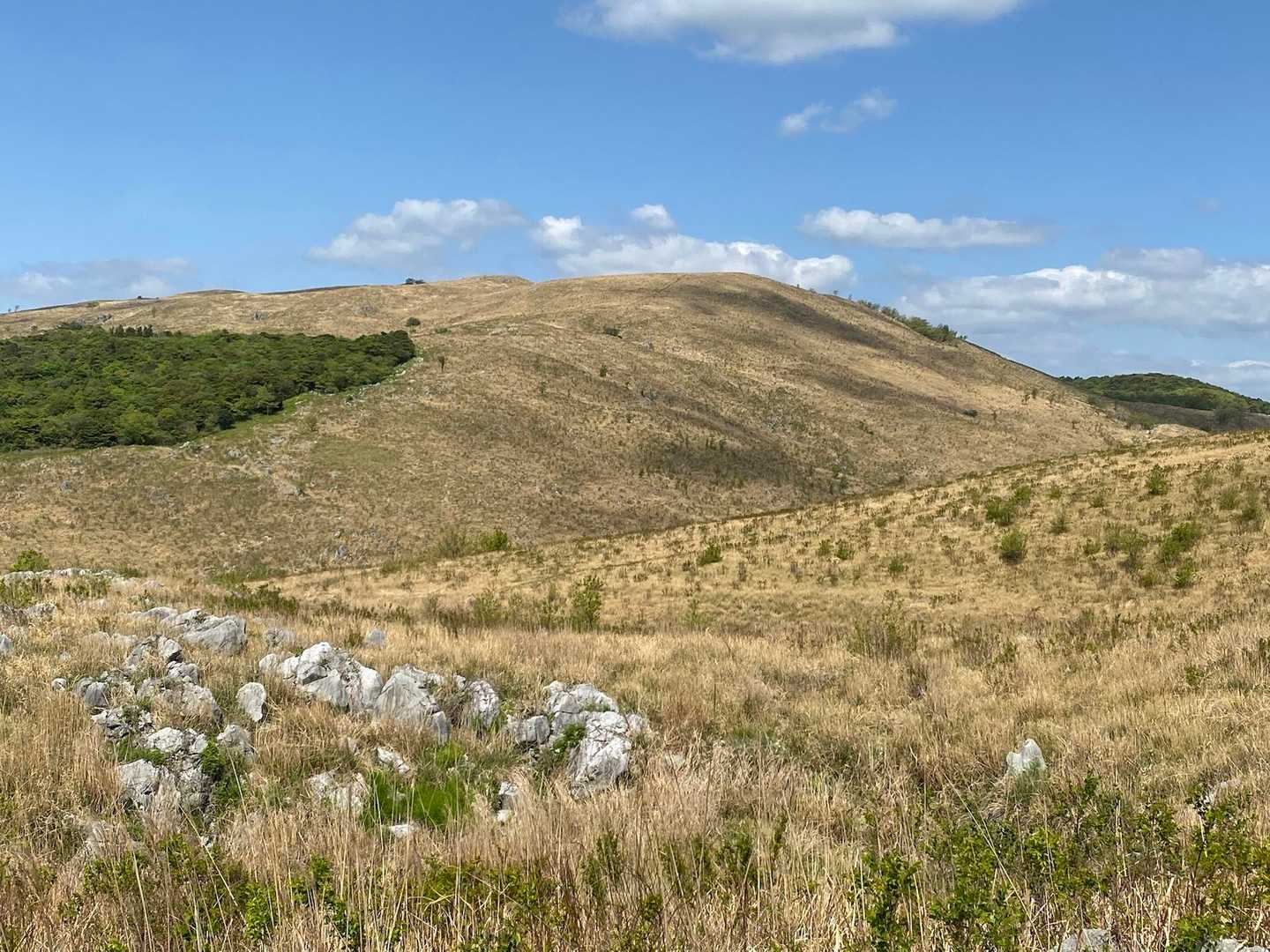 若竹山-小剣山 周回コースの写真