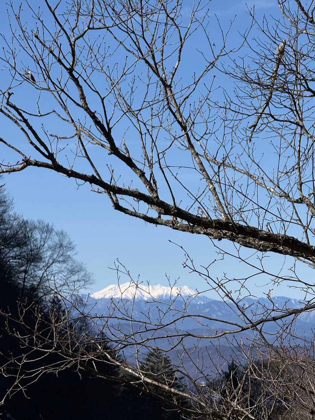 御嶽山👀