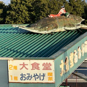つつじヶ丘まで無事戻って来られました。ガマ大明神の前の営業していない建物の屋根に、ガマがノビたように乗っかっていました。そしてそのガマの上に赤白のシマウマが乗っかっています。う、そのココロは❓❓❓
何だかどーでもいーみたいな、解き放たれた感覚になって来ました。
帰りは運転に気をつけよう😵‍💫