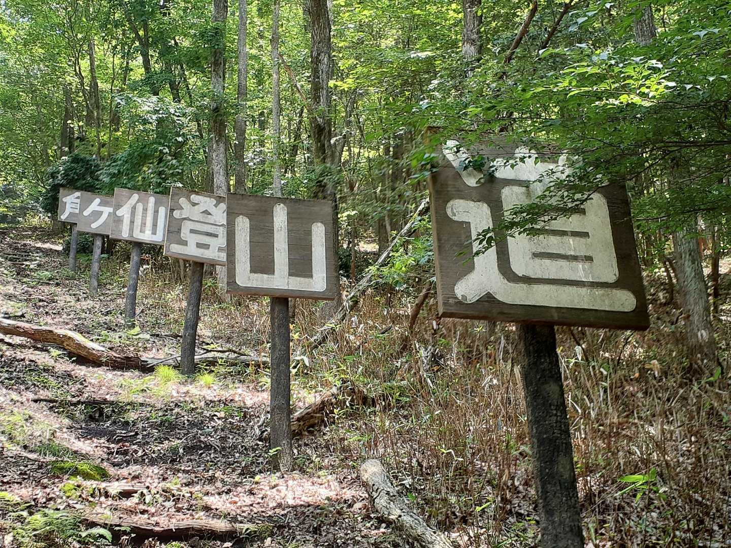 角ヶ仙、マダニ全然いない、いい山でしたー、アリガト山でしたー😘