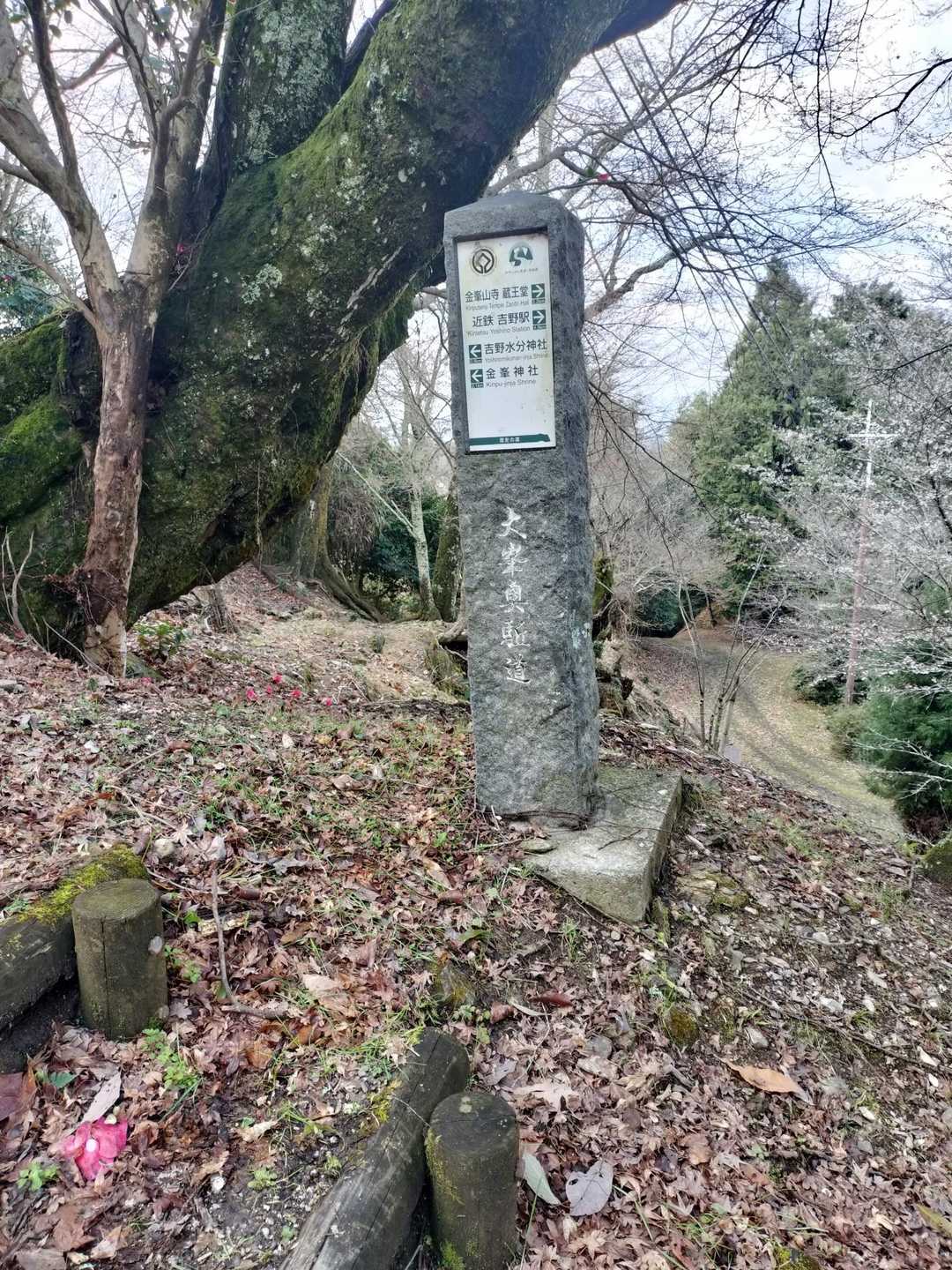 少しだけ奥駆道を歩きました。