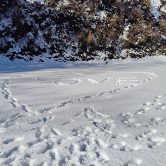 でんでんむしむしカタツムリ
お前の目玉はどこにある？
お前のお手手はどこにある？
お前は何時にどこに来る？
お前の愛はどこにある？
ツノだせヤリだせ頭だせ〜♪