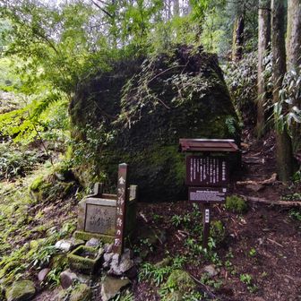 岩の上に祠があります。ここらへんで下るときに集中力を欠いて滑って転びました。