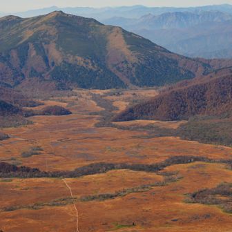 奥の至仏山との間の尾瀬ヶ原が丸見え
長く伸びる木道やヘビの様に横切る川沿いの樹林帯がバッチリ
登って来て良かった❗