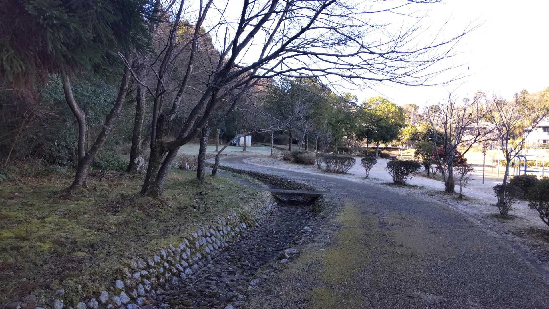 公園横のハイキングコース🚶‍♂