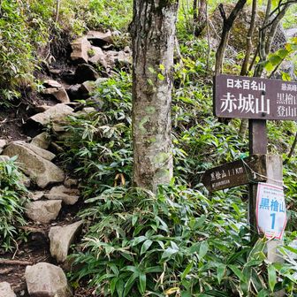 いつものスタート地点までは普通だった。