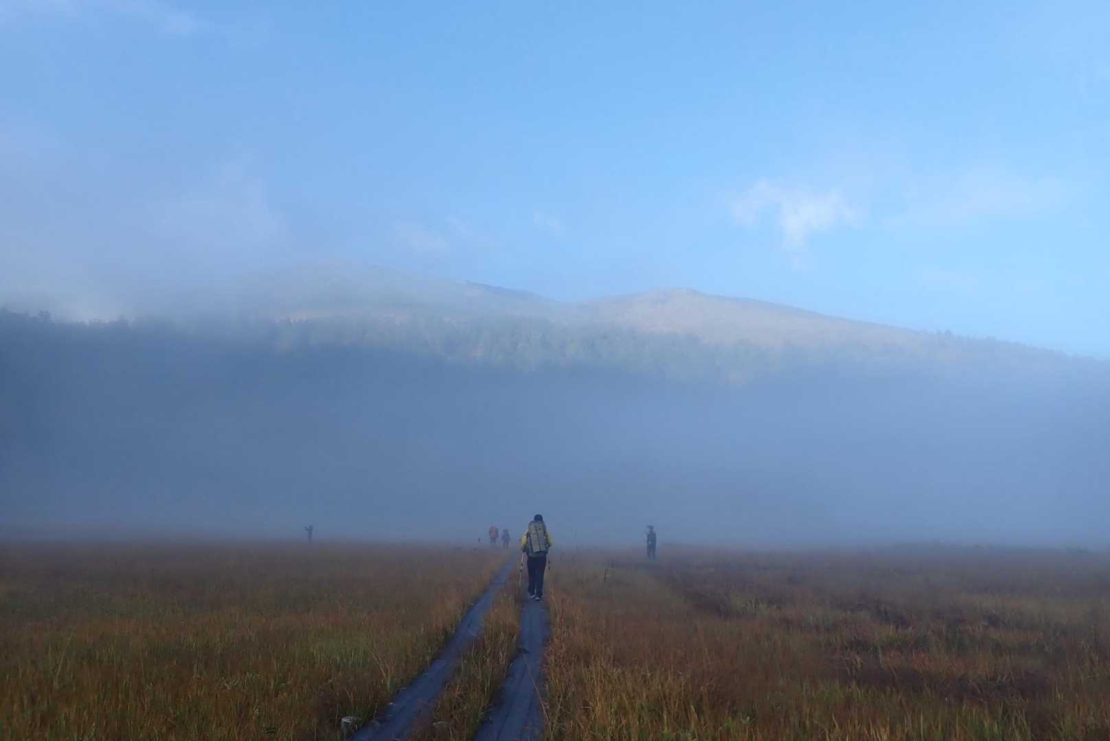 🍁🚶