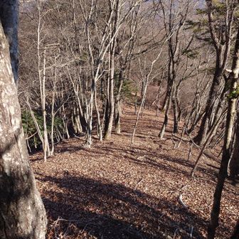 嵐の前の静けさ😅