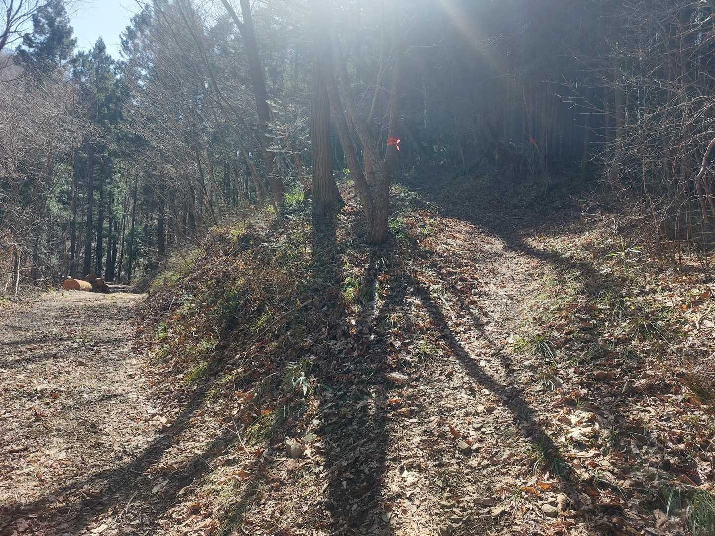 迷わず右(登り)で正解でした🙆