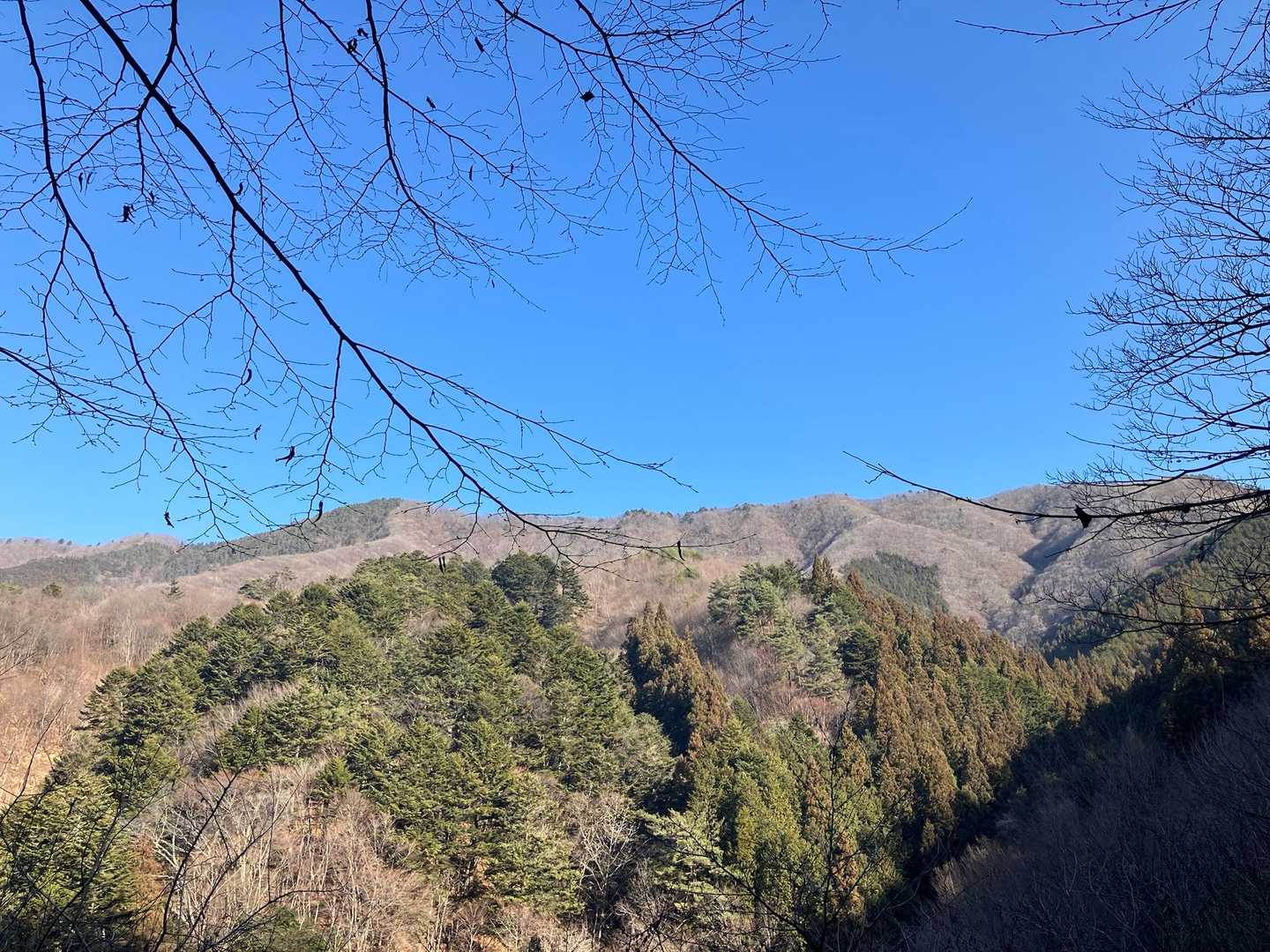 これから行く方面は日当たり良さそう😃