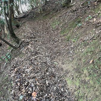 その後は、山腹を斜行する細い道。