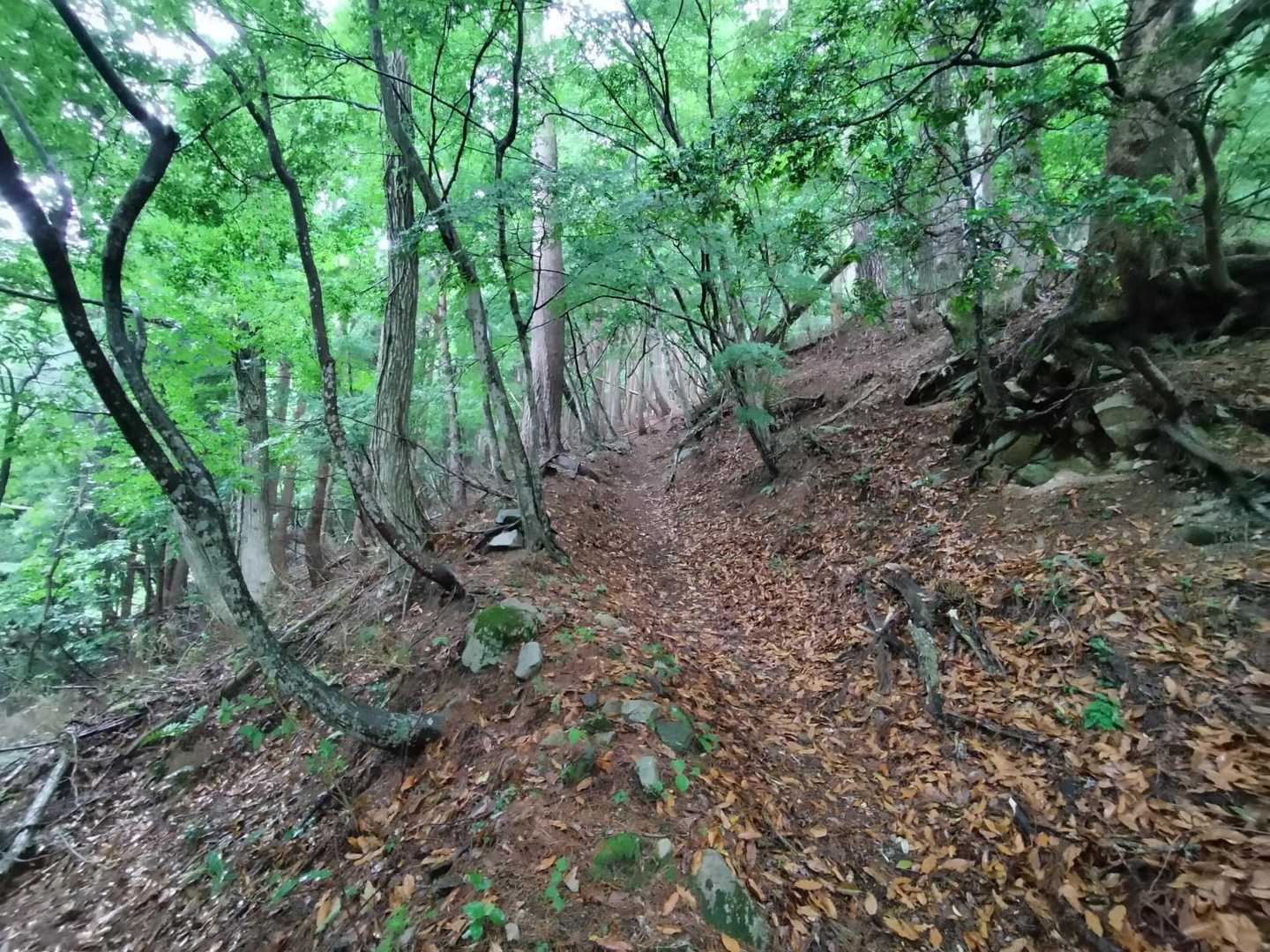 修行のような延々の登り🧗‍♂️