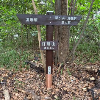 あっという間に灯明山に到着✌️