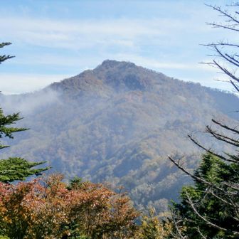 祖谷山系盟主にふさわしい貫禄