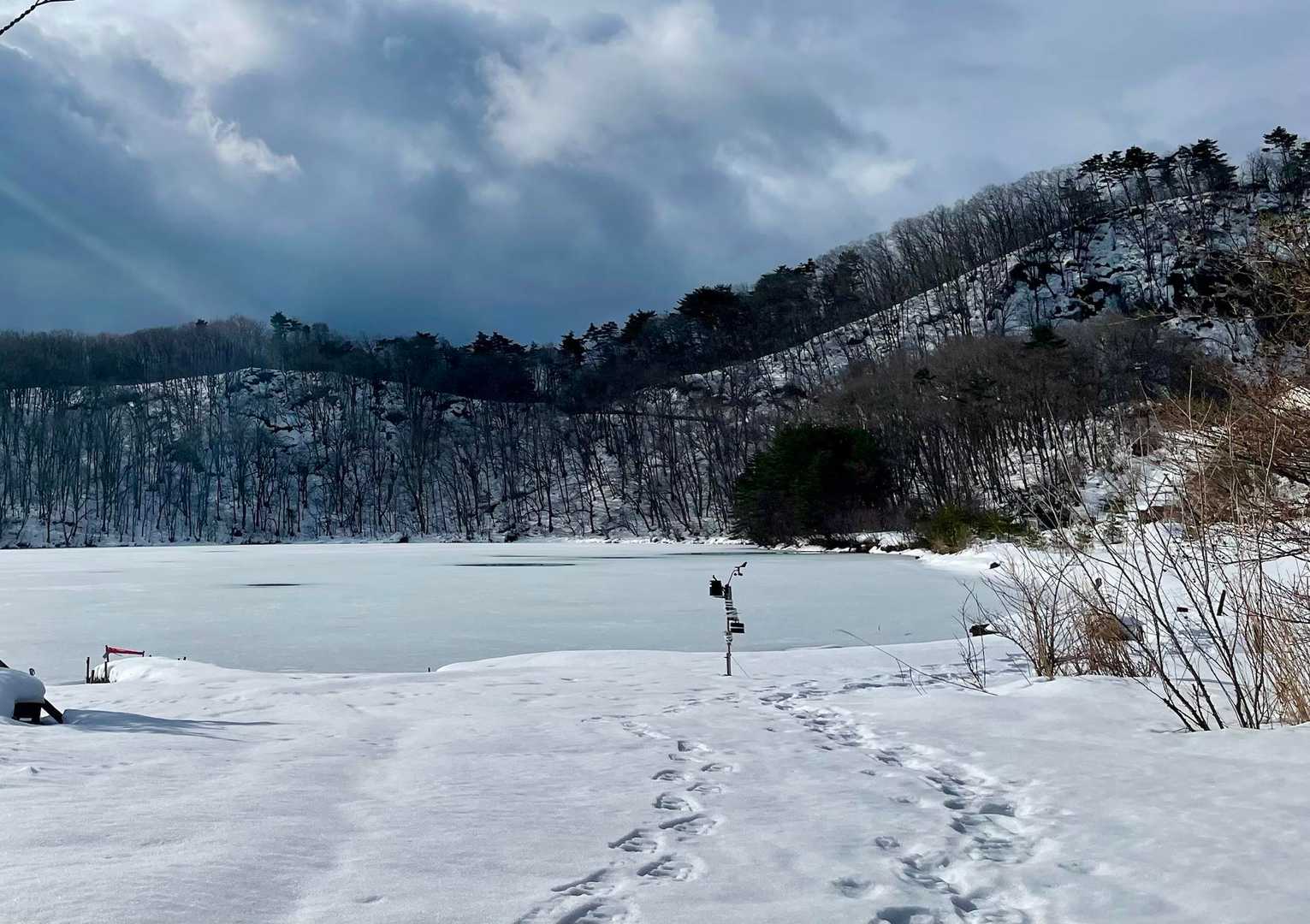 雪が粉砂糖とか、飴の白い甘いのに見えて
…🤤