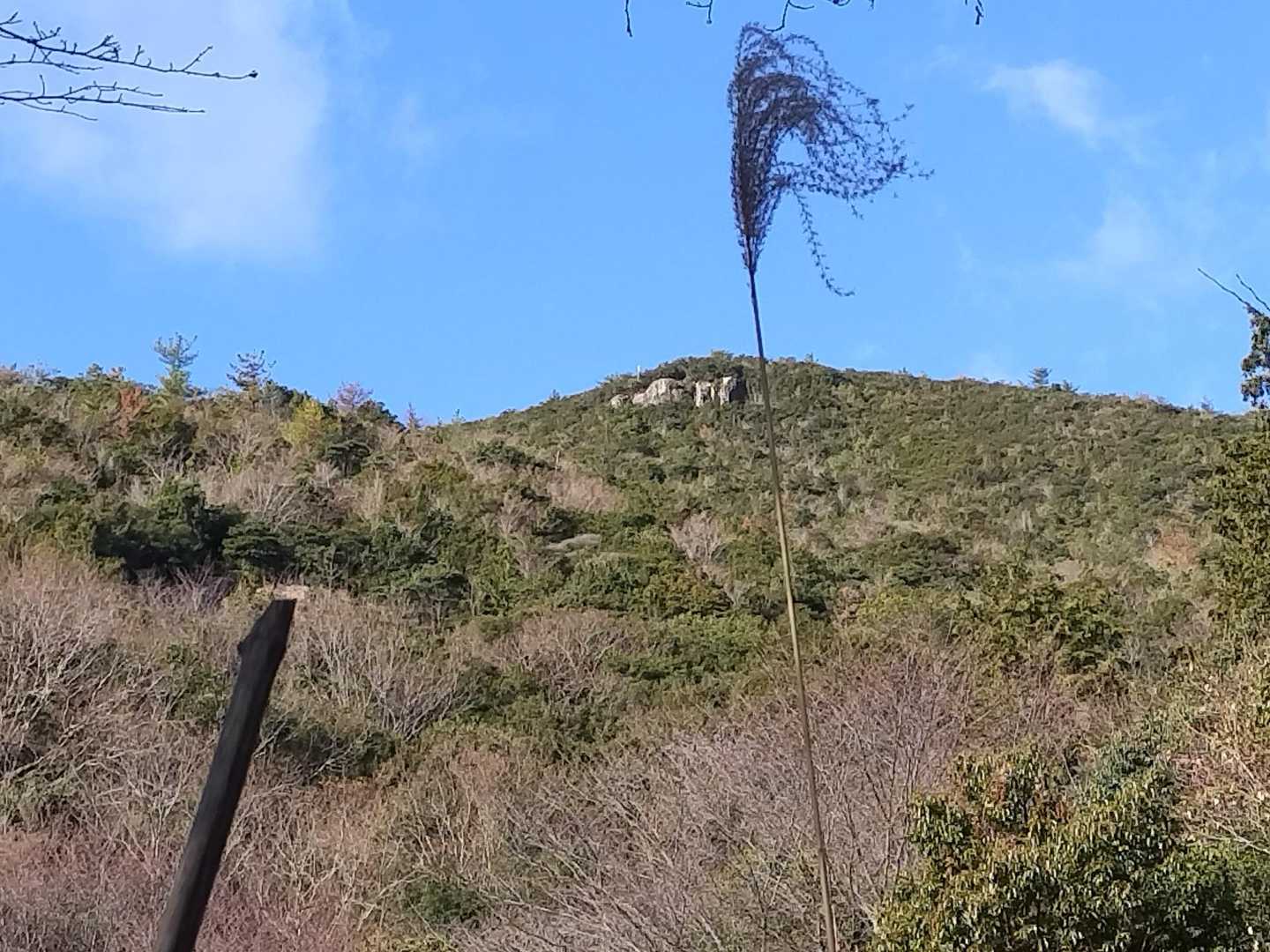 ビシャゴ岩見えてきた！
黄色🟡の旗がなびいてます
