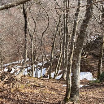 稜線の下には雪溜まりがあります。