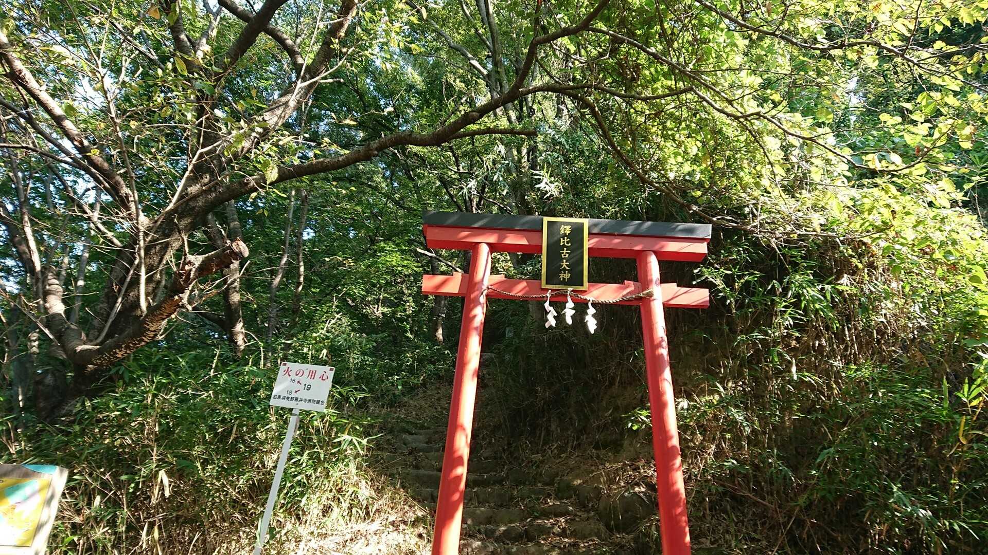 高尾山の写真