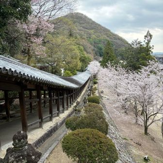 この景色お勧めです😊
