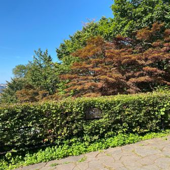 下りて来て(･∀･)