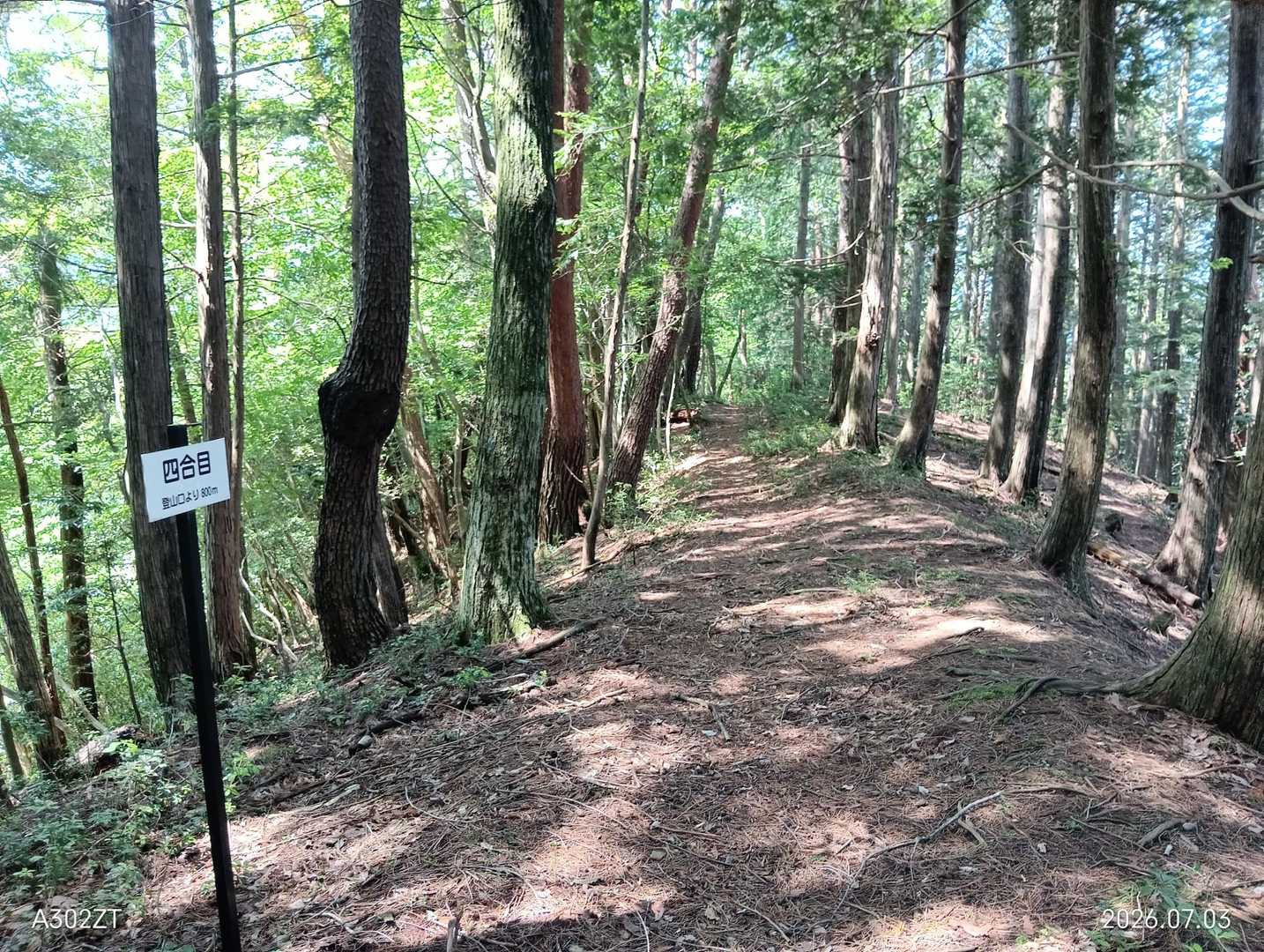 四合目に👍