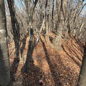 山看板が分かりませんでしたー
