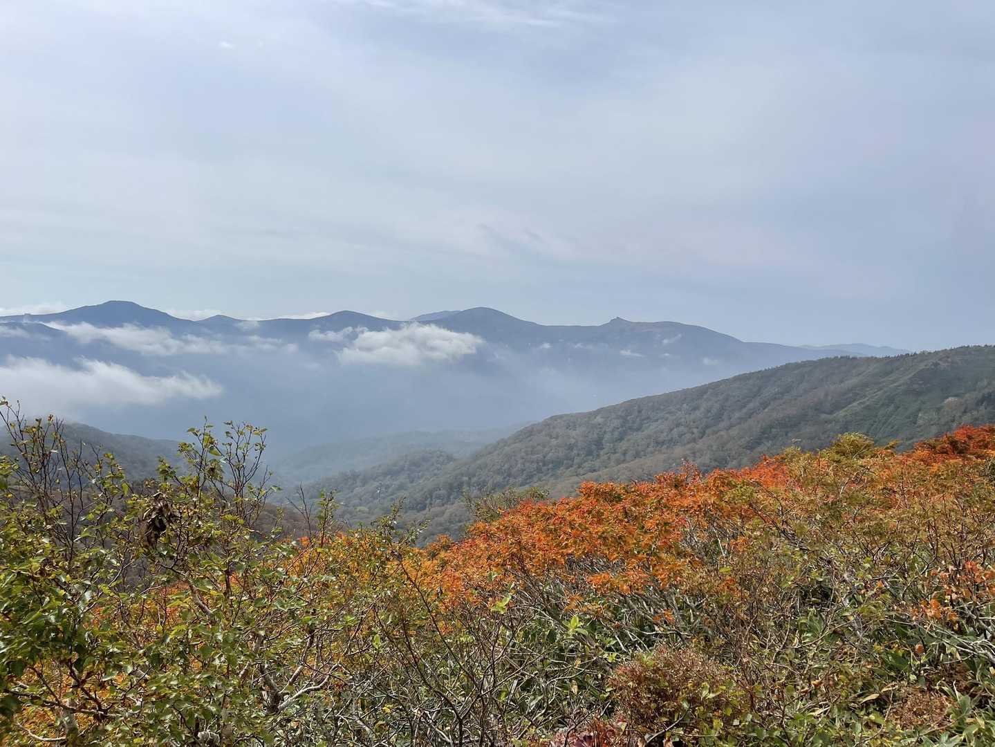 特徴的な烏帽子岳(乳頭山)。