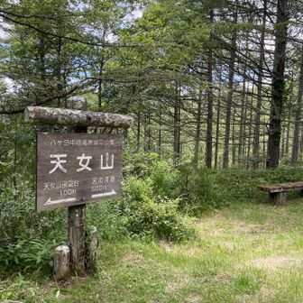 着いたっ
汗かいたぁ
近くにトイレあります