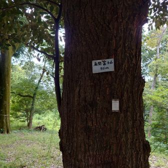今の調子でいくと（ここ何ヶ月もちょっと脚の具合が良くな…😑）今年も🗻挑戦が危ういので、今日の目的地.座間の富士山🗻行ってみました。
誰もいない。蚊がいっぱいでした😫