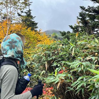 山頂が見えた！
ガス晴れろー♪