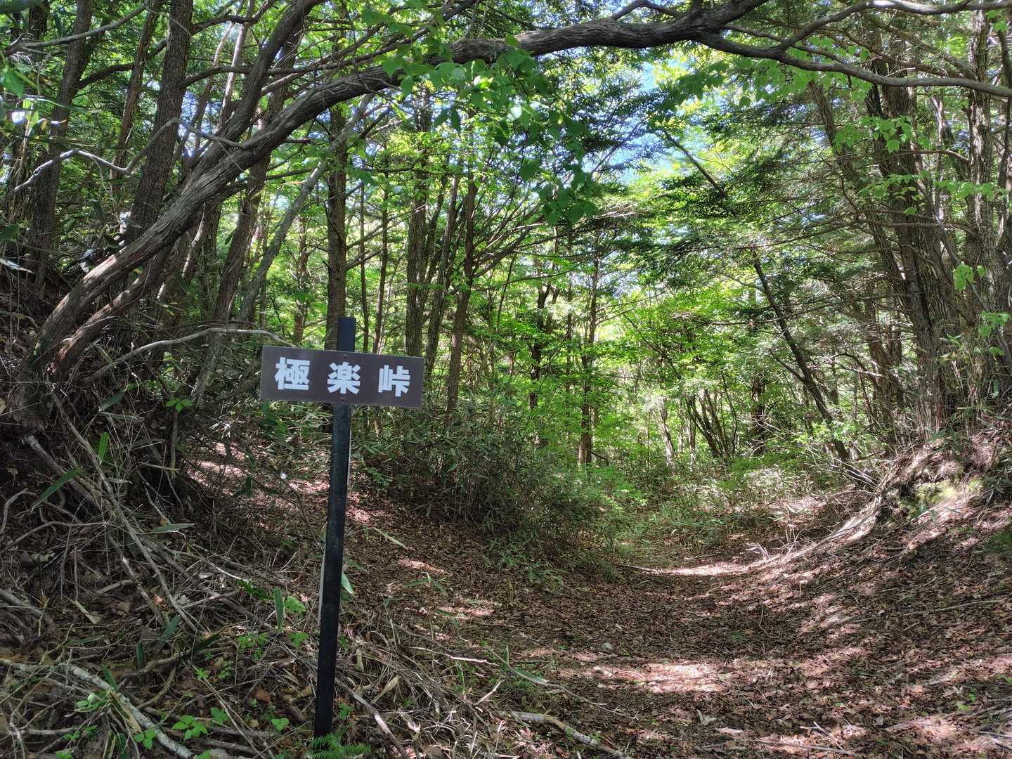 極楽峠-見晴山-亀沢山 周回コースの写真