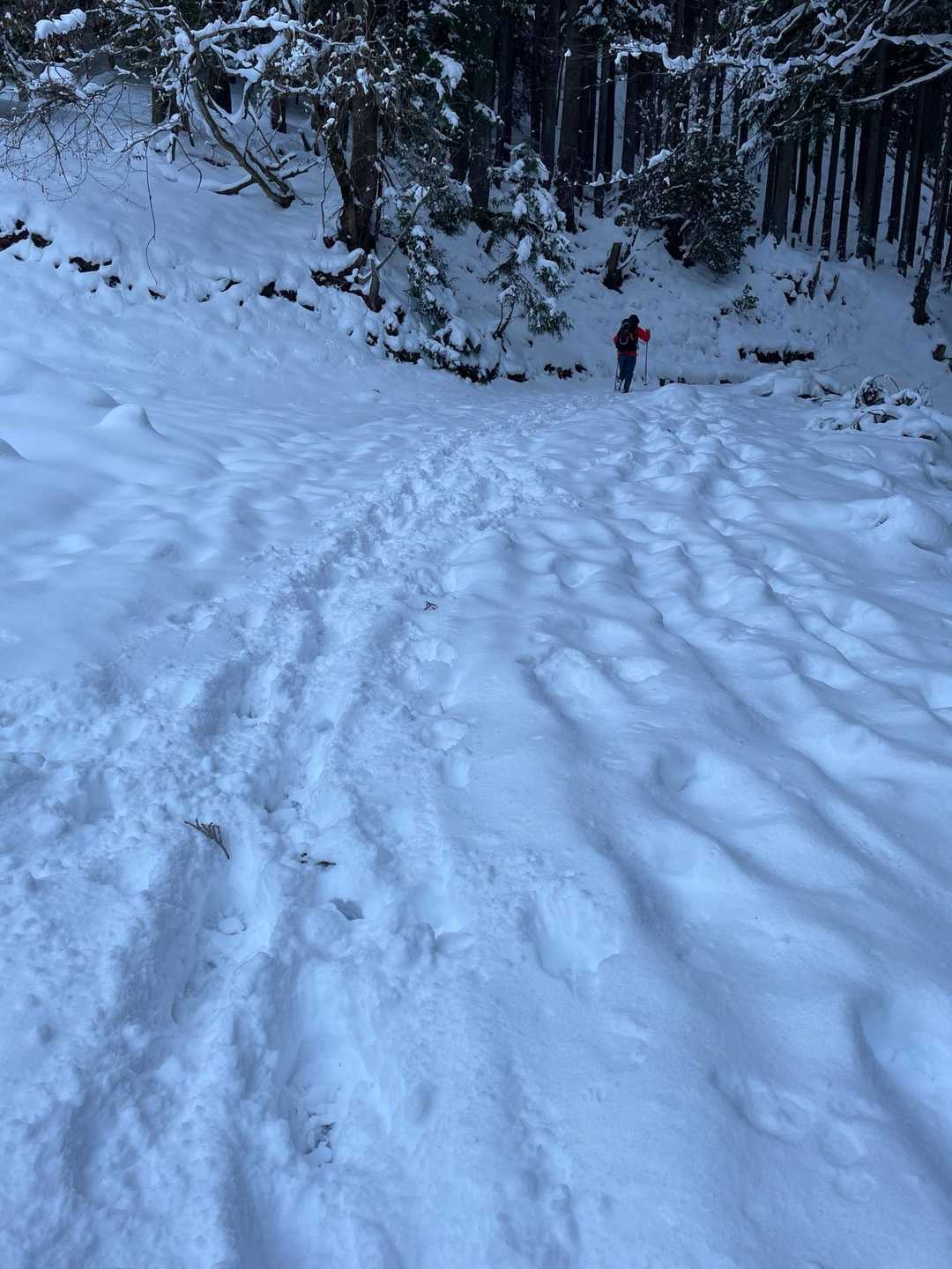 まあまあ雪深い。
今でくるぶし位まで。
チェンスパだけです。