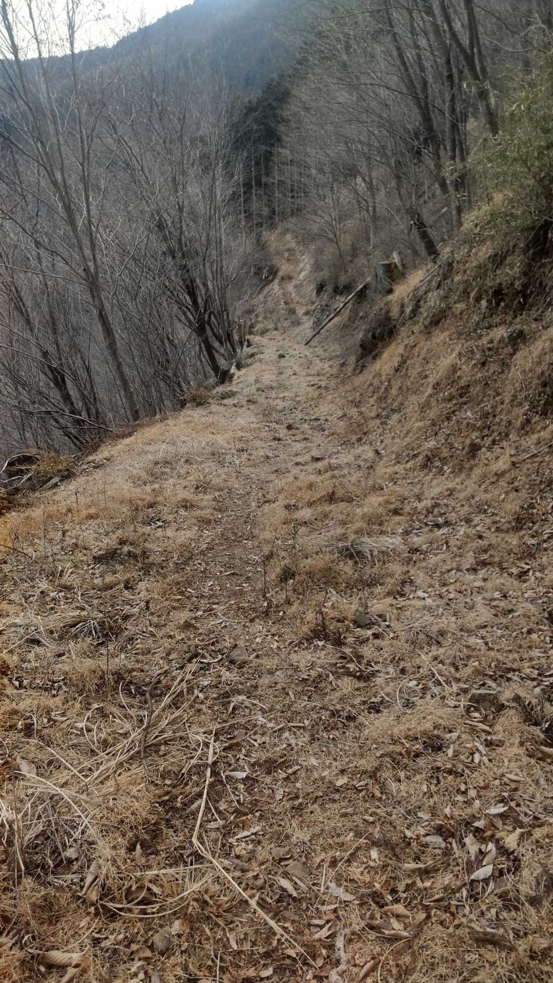 火戸尻山 往復コースの写真