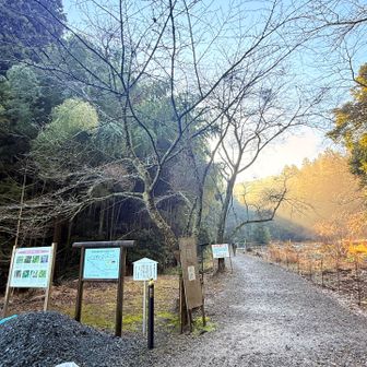 いい天気☀️です！
