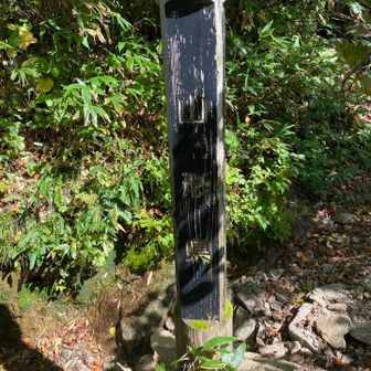 巻道との分岐点
