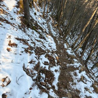 滝子山を下ってすぐのところから残雪⛄️あり