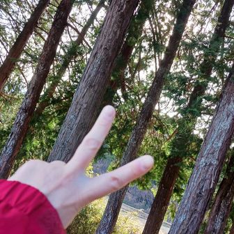 はい、駐車場まで戻ってきました！
ぷち山だったけど、楽しかったー！！