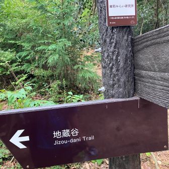 六甲全山縦走路と合流😊
ここから天狗道で掬星台へ　