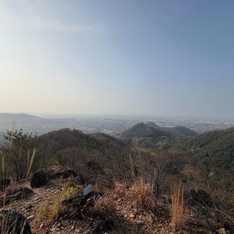 今朝は霧が出ていました
日が出ても霞んでいて遠くは見えません😆
