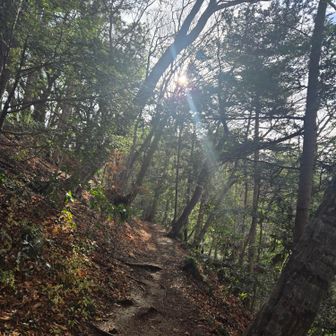 高尾山じゃないみたいな山道♪舗装路じゃないとこがいいよね～