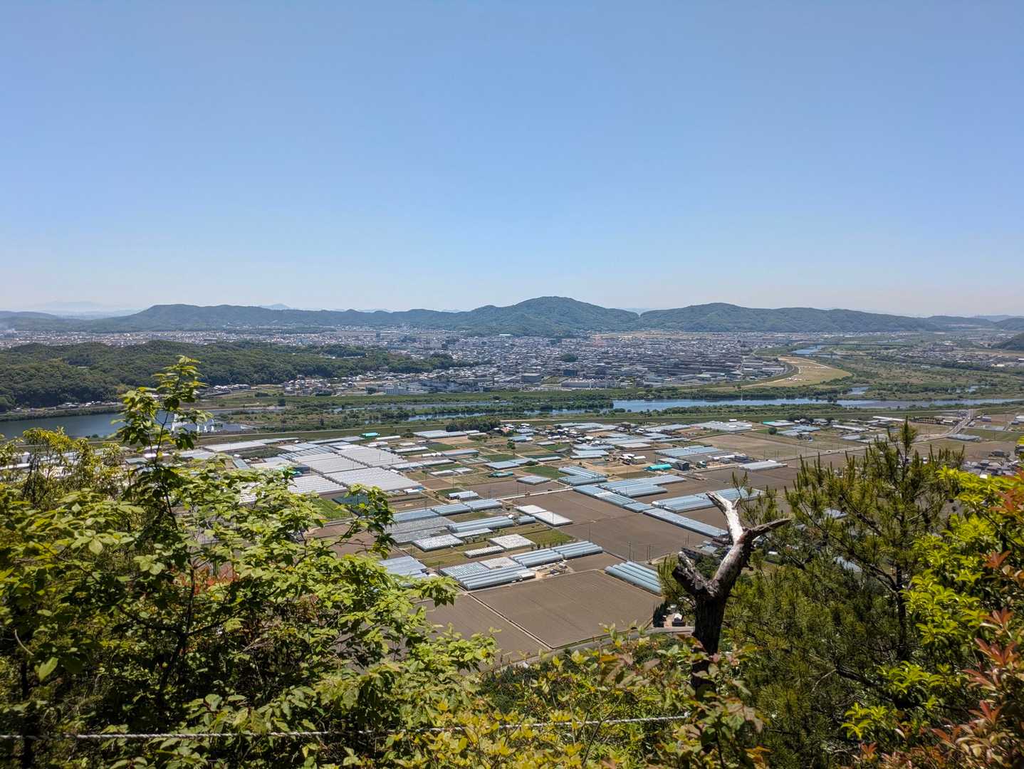 時間があり、城山に向かう道中の景色✨
