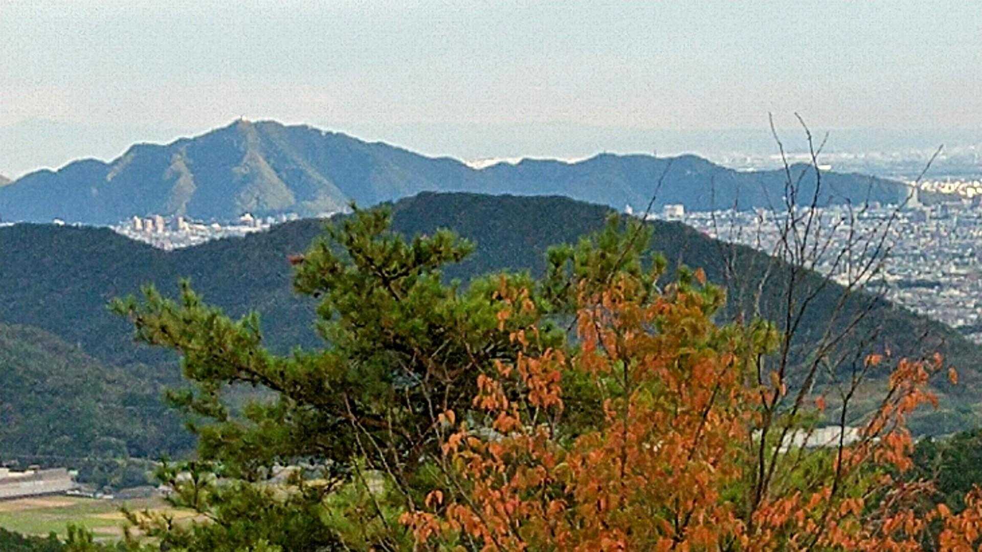 金華山