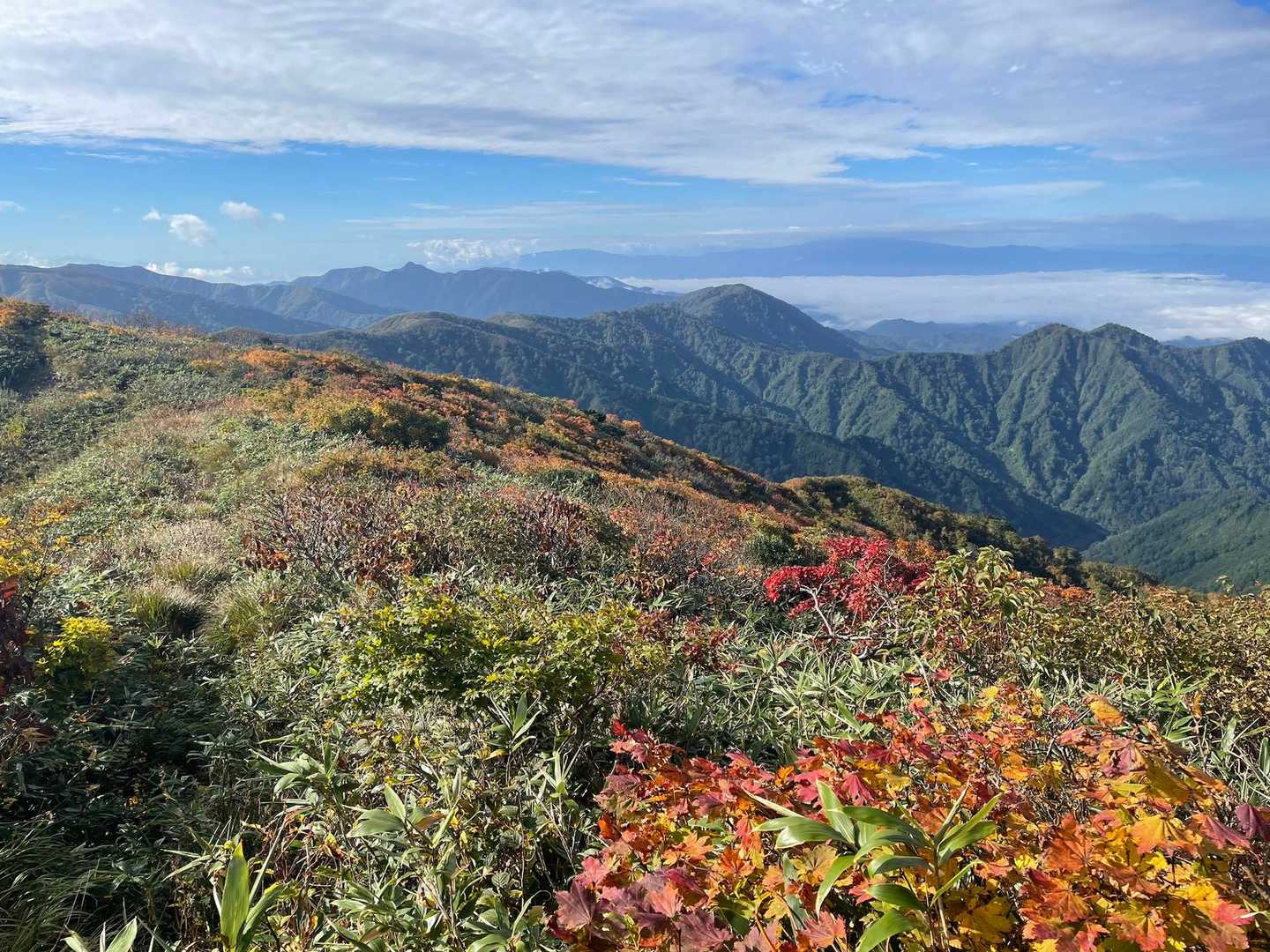 紅葉前半。来週からあたりがピークかな？